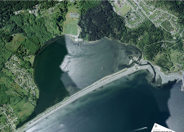 aerial view of the Esquimalt Lagoon - dock bottom right is Birds of a Feather B&B aerial view of the Esquimalt Lagoon - dock bottom right is Birds of a Feather B&B