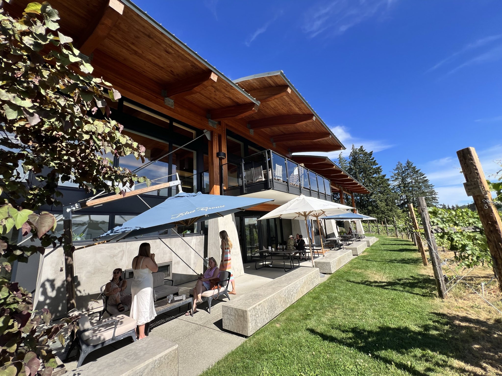 Blue Grouse Winery