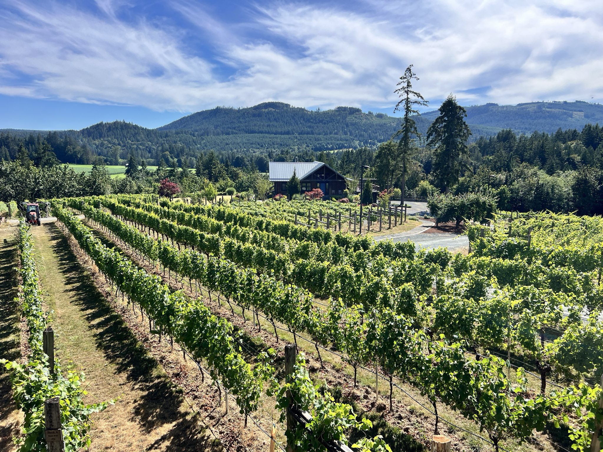 Blue Grouse Vineyards