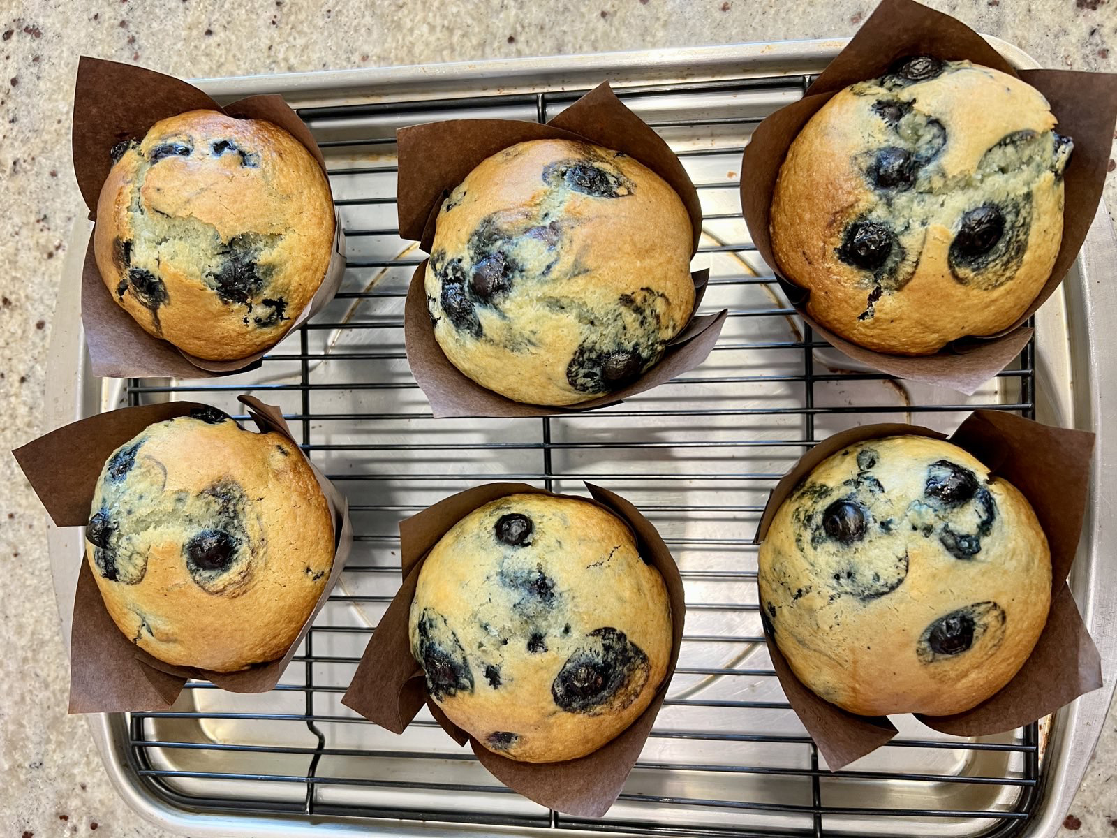 Blueberry Muffins from Paphada's Kitchen Victoria
