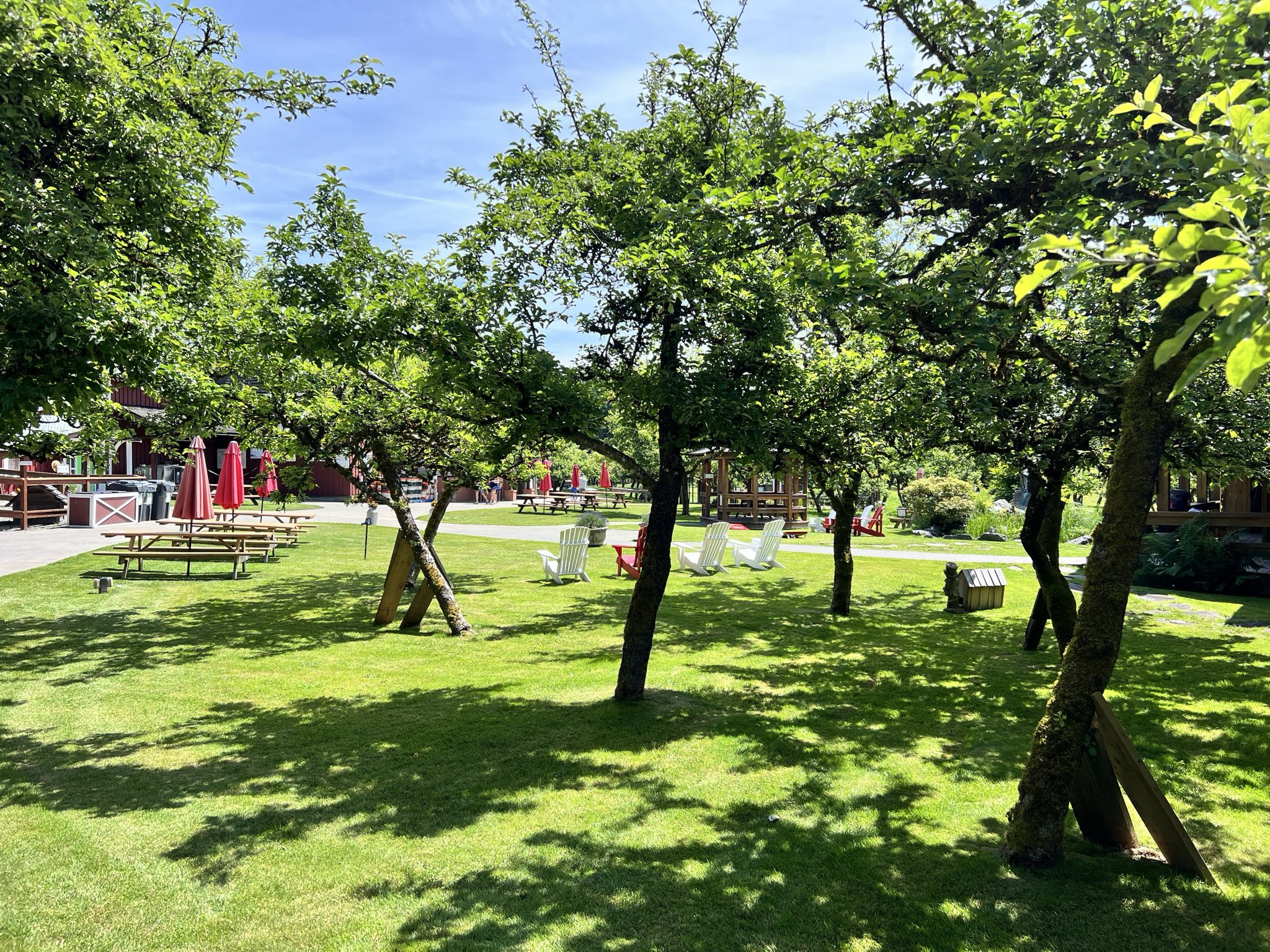 Merridale Cidery Picnic area