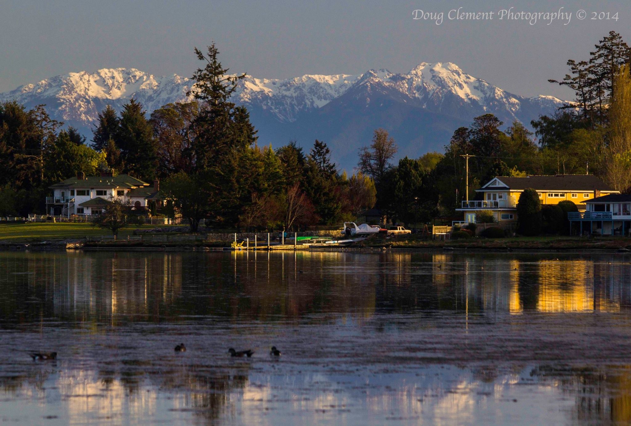Birds of a Feather B&B Olympic Mountains