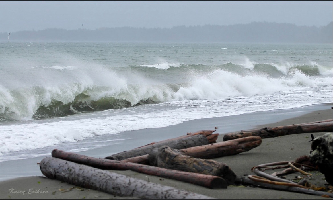 Storm watching Ocean Blvd Colwood BC