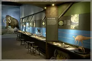 museum.jpg